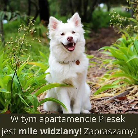 Artapartment G 13 * Wisła