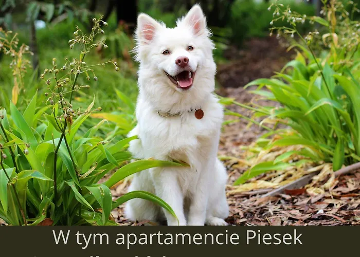 Artapartment G 13 * ויסלאו